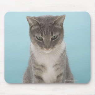 Katze, die Spielzeugmaus auf Wolldecke betrachtet Mousepad