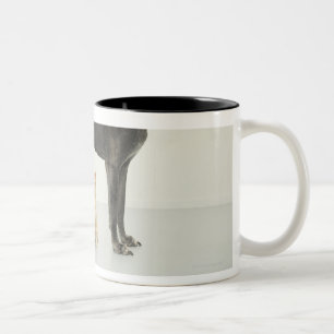 Katze, die unter Deutscher Dogge sitzt Zweifarbige Tasse