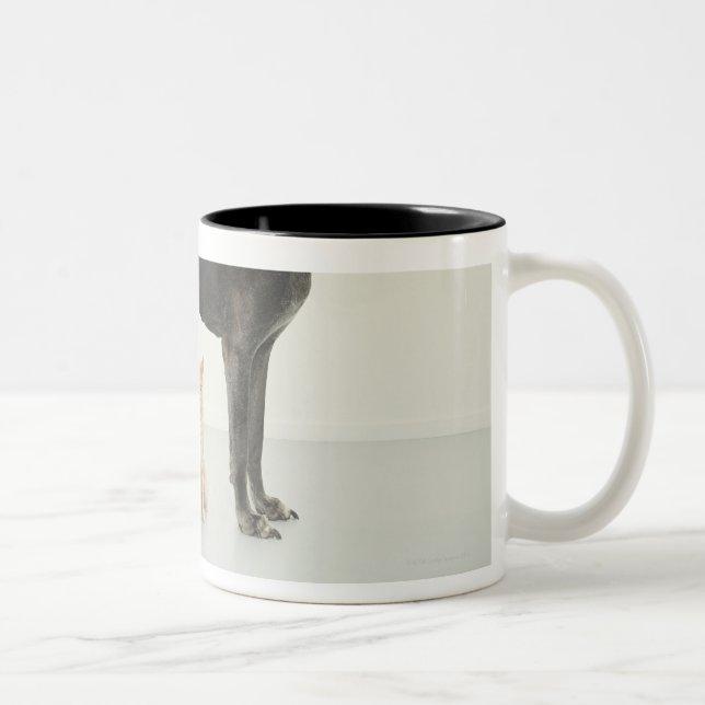 Katze, die unter Deutscher Dogge sitzt Zweifarbige Tasse (Rechts)