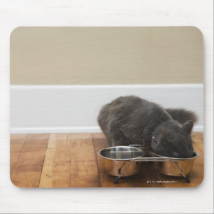 Katze, die von der Schüssel isst Mousepad