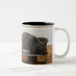 Katze, die von der Schüssel isst Zweifarbige Tasse