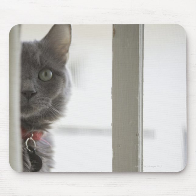 Katze durch Fenster Mousepad (Vorne)