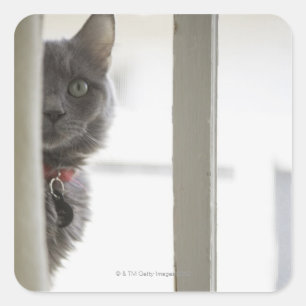 Katze durch Fenster Quadratischer Aufkleber
