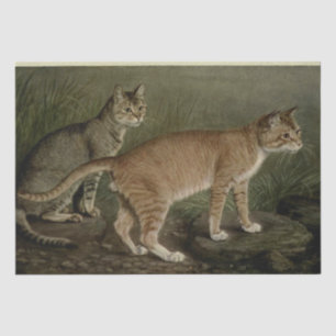 Katze Ephemere Decoupage Brown Orange Tabby Seidenpapier