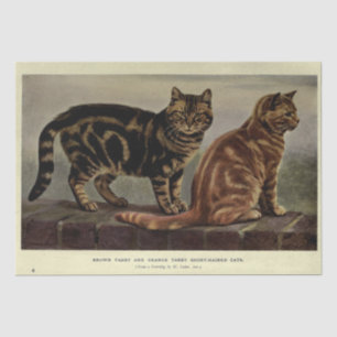 Katze Ephemere Decoupage Brown Orange Tabby Seidenpapier