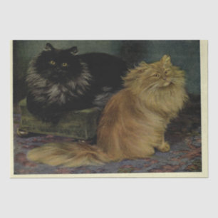 Katze Ephemere Decoupage Smoke Orange Perser Seidenpapier