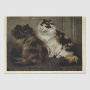 Katze Ephemere Decoupage Tortoiseshell Schwarz-wei Seidenpapier
