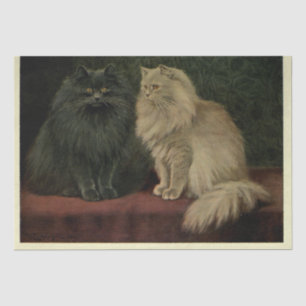 Katze Ephemere Dekoupage Blu Cream Perser Seidenpapier