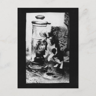 Katze erfrischend im Brunnen Postkarte