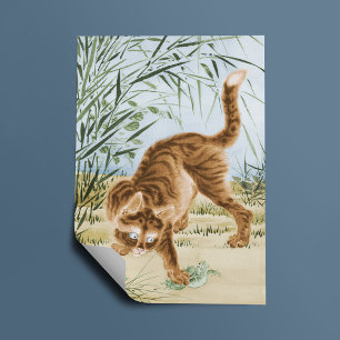 Katze fängt einen Frosch Poster