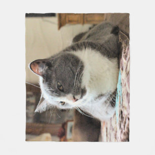 Katze Fleecedecke