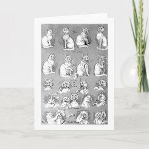 Katze, Freundschaft & Ehe, Braut, Louis Wain Karte