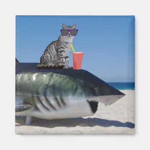 KATZE FÜR STRANDSCHARFZAHN MAGNET