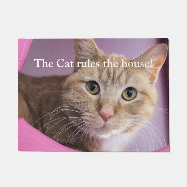 Katze Fußmatte (Vorderseite)