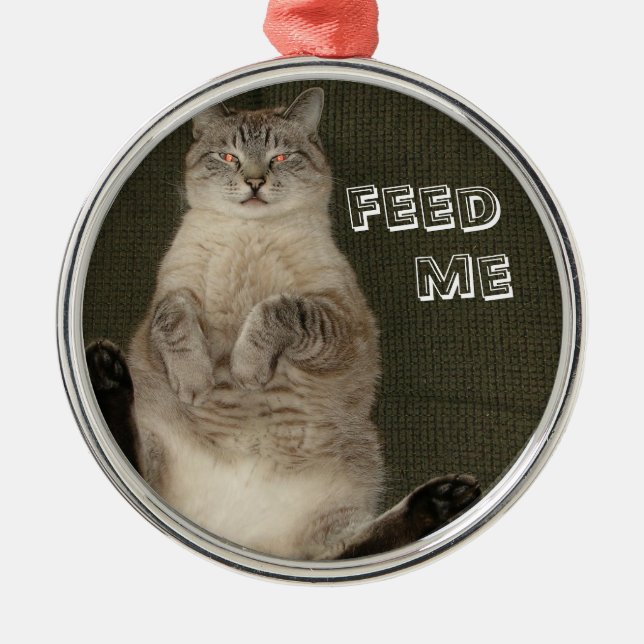 Katze "FÜTTRE ME" Ornament (Vorne)