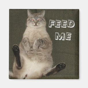 Katze "FÜTTRE ME" Square Magnet