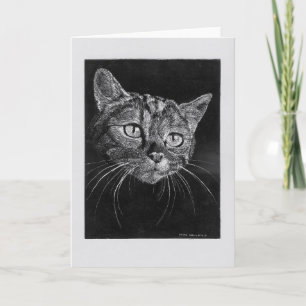 Katze Gesicht leere Karte. Karte