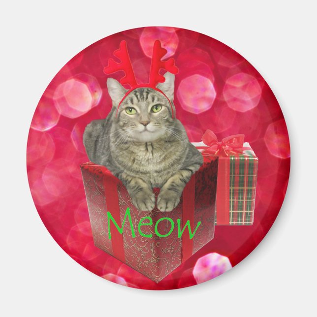 Katze Gewartet für Santa Magnet (Vorne)