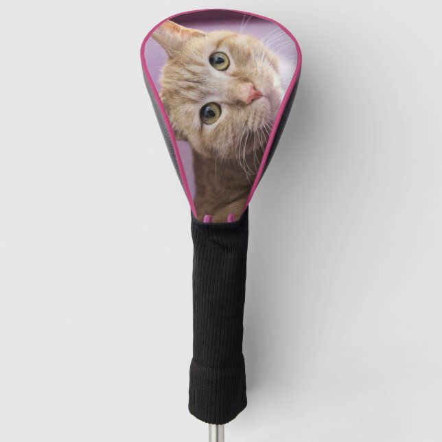 Katze Golf Headcover (Vorderseite)