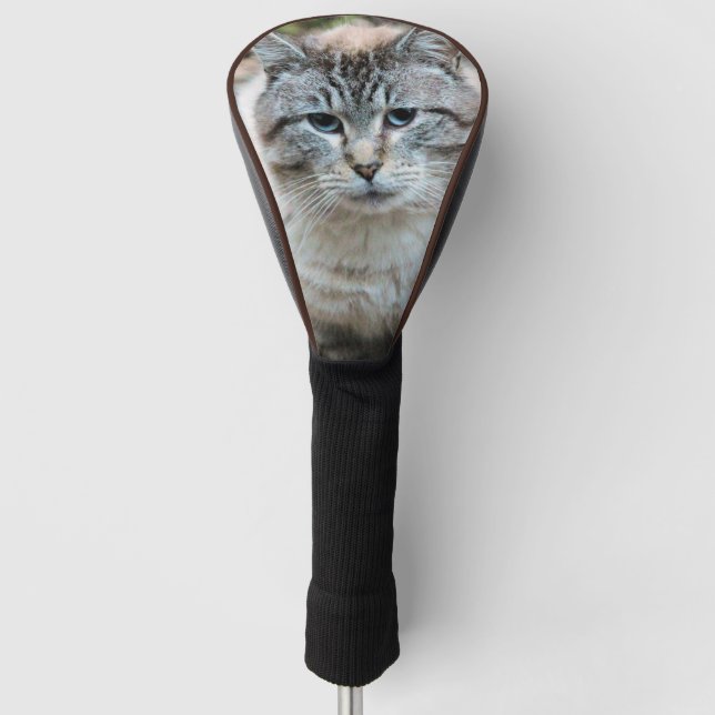Katze Golf Headcover (Vorderseite)