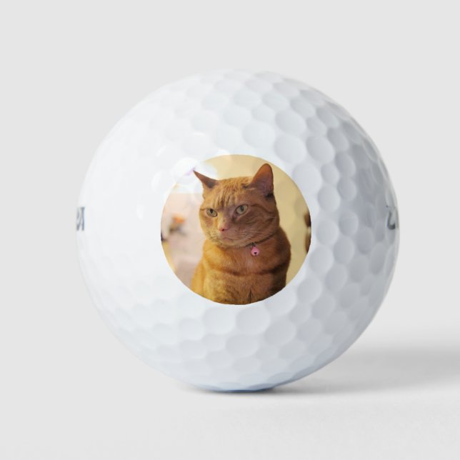 Katze Golfball (Vorderseite)