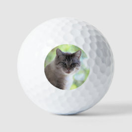 Katze Golfball