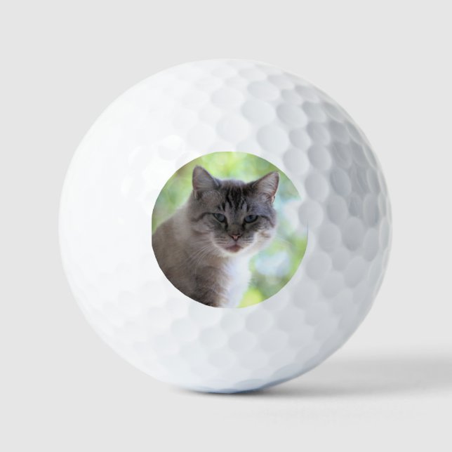 Katze Golfball (Vorderseite)