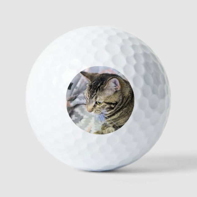 Katze Golfball (Vorderseite)