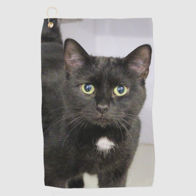 Katze Golfhandtuch (Vorderseite)