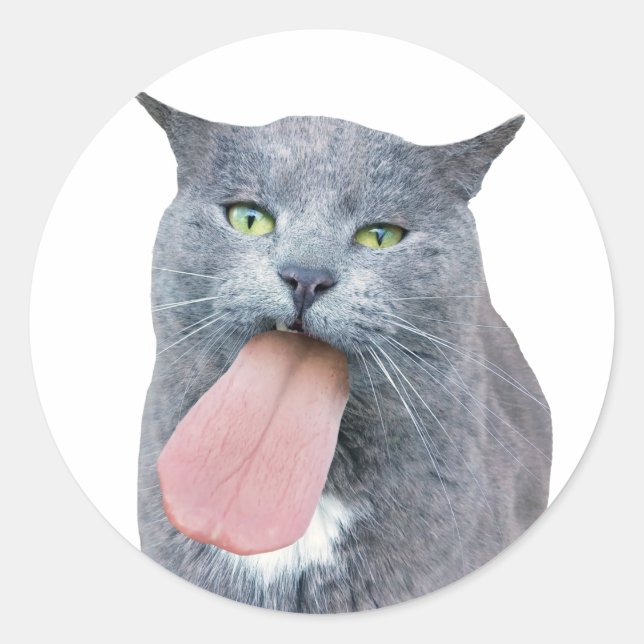 Katze Got deine Zunge? Klassischer Rundaufkleber Runder Aufkleber (Vorderseite)
