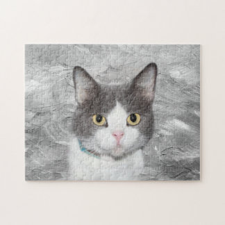 Katze, grau-weiß