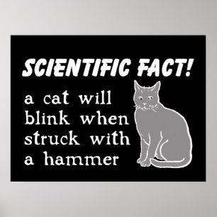 Katze Hammer Lustiges Druckplakat Humor Poster