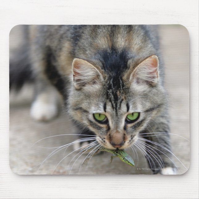Katze hat eine Eidechse gefangen Mousepad (Vorne)