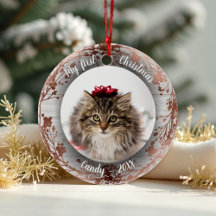 Katze Haustier Erste Weihnachtsfeier Foto Kränze R