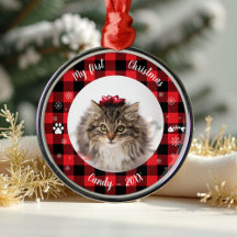 Katze Haustier Erstes Weihnachtsfest Foto Rustic B