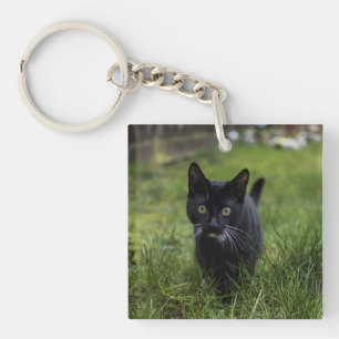 Katze, Haustier, Feline Schlüsselanhänger