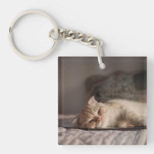 Katze, Haustier, Kätzchen Schlüsselanhänger