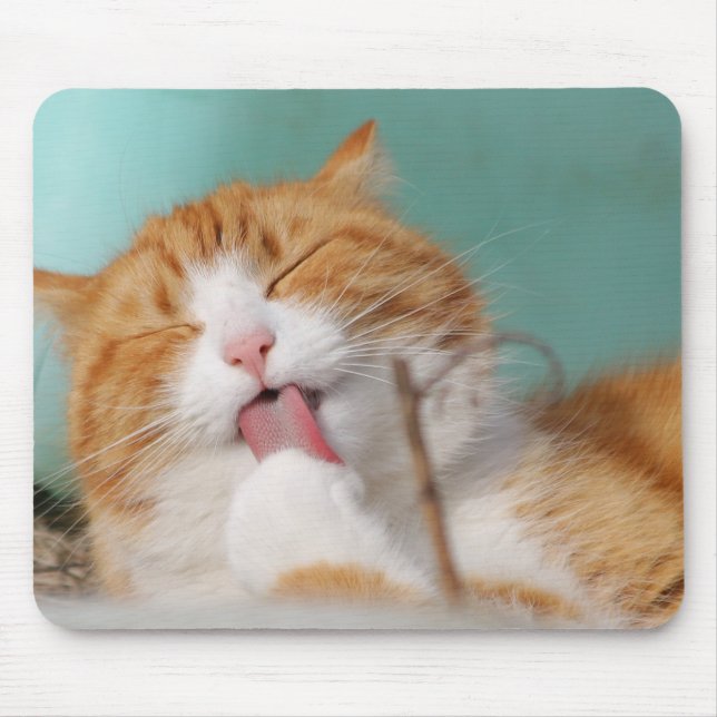 Katze, Haustier, lecken, Tier Mousepad (Vorne)