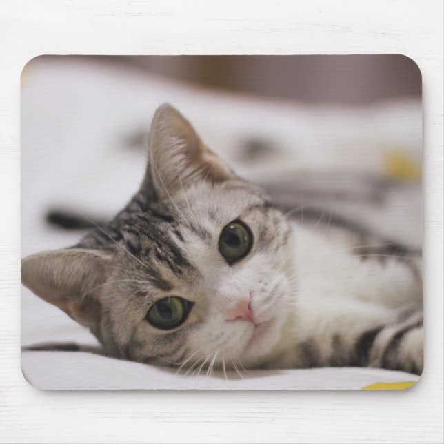 Katze, Haustier, Natur Mousepad (Vorne)