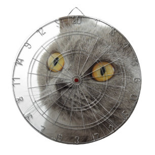 Katze Haustier Tier Mürrisch Stirnrunzeln Frieden Dartscheibe