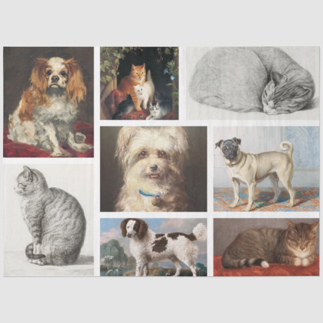 Katze Haustiere 8 Foto Portrait Collage Keepake Seidenpapier (Vorderseite)
