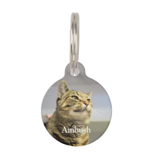 Katze Haustiermarke