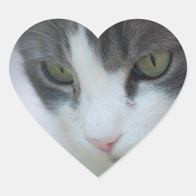 Katze Herz-Aufkleber (Vorderseite)