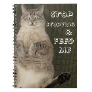 Katze "HÖR AUF ZU LERNEN & FÜTTERE MICH" Notizbuch Notizblock