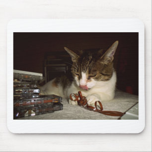 Katze hungrig auf Kassette Mousepad
