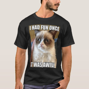 Katze Ich Hatte Einmal Spaß Es Ist Schrecklich Sar T-Shirt