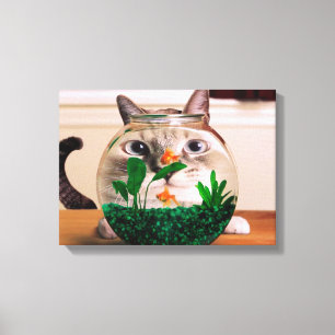 Katze im Aquarium Leinwanddruck