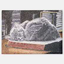 Katze im Buchladen