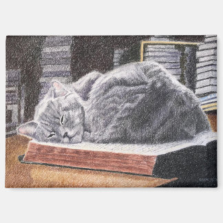 Katze im Buchladen Magnet