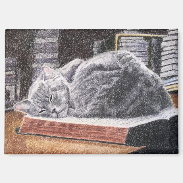 Katze im Buchladen Magnet (Vorderseite)